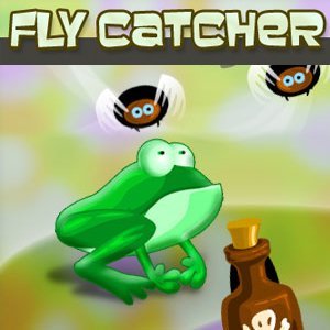 Image Fly Catcher