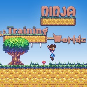 Image Ninja Training Worlds