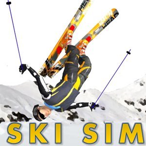 Image Ski Sim