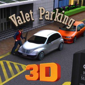 Image Valet Parking 3D