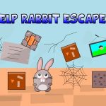Help Rabbit Escape