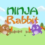 Ninja Rabbit Pro