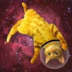 SPACE CAT 2.0