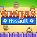 Ninjas Assault
