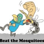 beat the mosquitoes