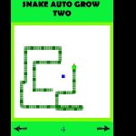 Snake Auto Grow 2